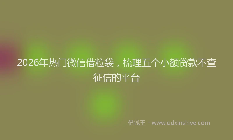 2026年热门微信借粒袋，梳理五个小额贷款不查征信的平台