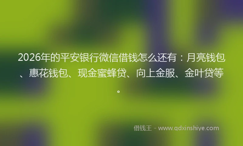 2026年的平安银行微信借钱怎么还有：月亮钱包、惠花钱包、现金蜜蜂贷、向上金服、金叶贷等。