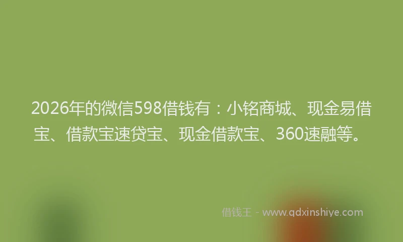 2026年的微信598借钱有：小铭商城、现金易借宝、借款宝速贷宝、现金借款宝、360速融等。