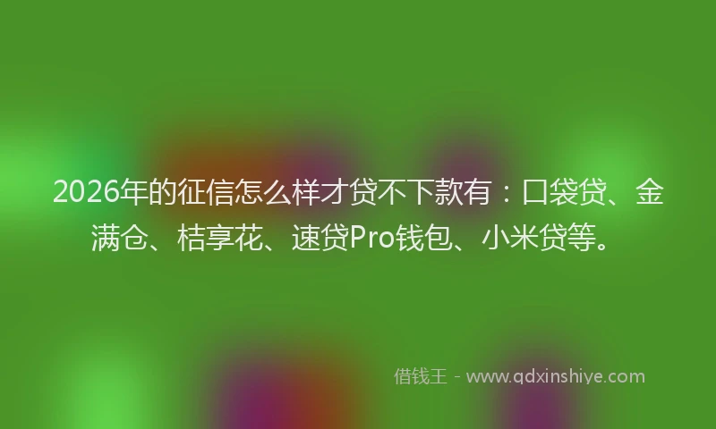 2026年的征信怎么样才贷不下款有：口袋贷、金满仓、桔享花、速贷Pro钱包、小米贷等。