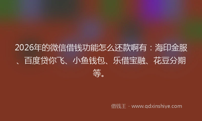 2026年的微信借钱功能怎么还款啊有：海印金服、百度贷你飞、小鱼钱包、乐借宝融、花豆分期等。
