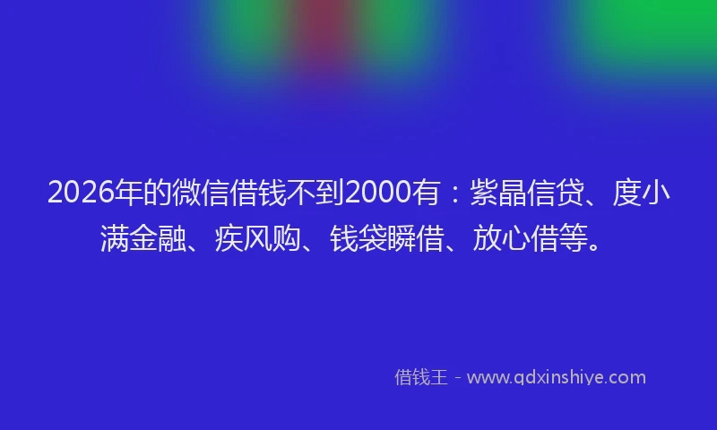 2026年的微信借钱不到2000有:紫晶信贷、度小满金融、疾风购、钱袋瞬借、放心借等。