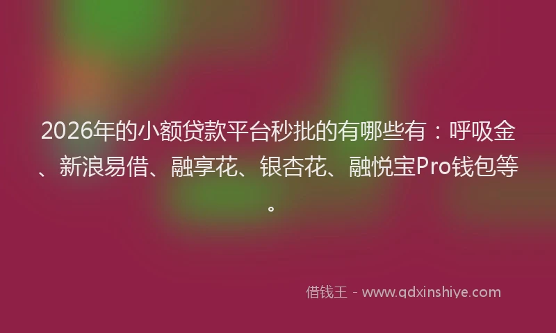 2026年的小额贷款平台秒批的有哪些有：呼吸金、新浪易借、融享花、银杏花、融悦宝Pro钱包等。