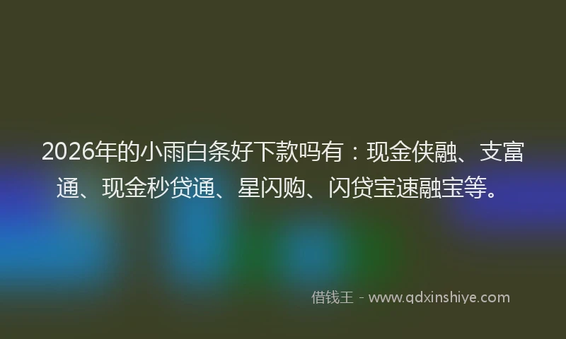 2026年的小雨白条好下款吗有：现金侠融、支富通、现金秒贷通、星闪购、闪贷宝速融宝等。
