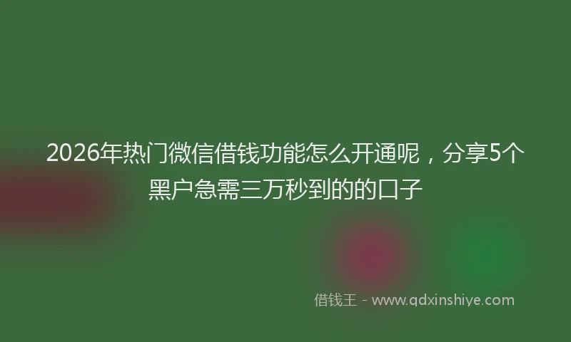 2026年热门微信借钱功能怎么开通呢，分享5个黑户急需三万秒到的的口子
