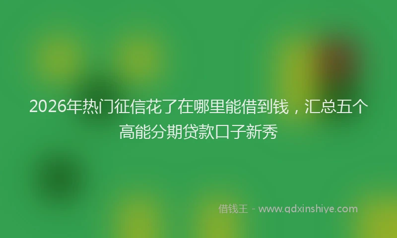 2026年热门征信花了在哪里能借到钱，汇总五个高能分期贷款口子新秀