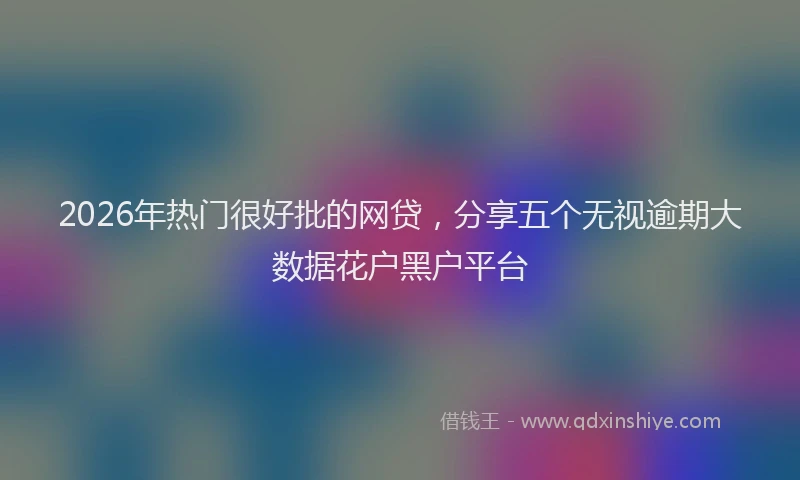 2026年热门很好批的网贷，分享五个无视逾期大数据花户黑户平台