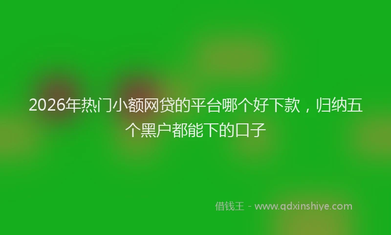 2026年热门小额网贷的平台哪个好下款,归纳五个黑户都能下的口子