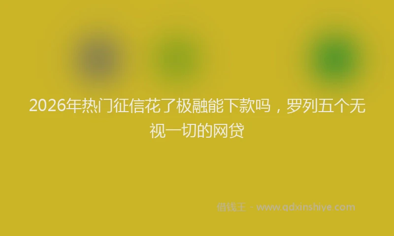 2026年热门征信花了极融能下款吗，罗列五个无视一切的网贷