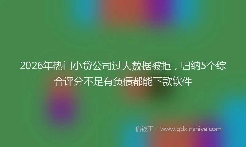 2026年热门小贷公司过大数据被拒，归纳5个综合评分不足有负债都能下款软件