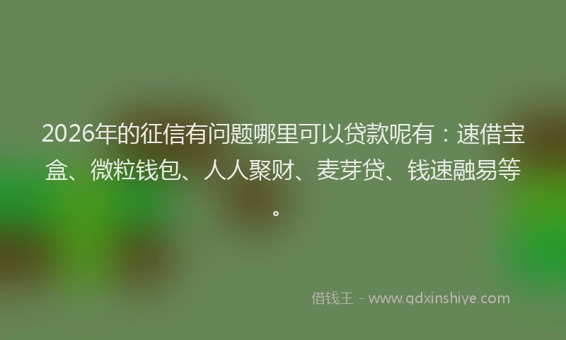 2026年的征信有问题哪里可以贷款呢有：速借宝盒、微粒钱包、人人聚财、麦芽贷、钱速融易等。