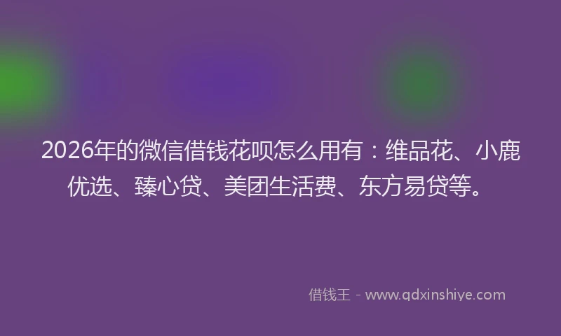 2026年的微信借钱花呗怎么用有：维品花、小鹿优选、臻心贷、美团生活费、东方易贷等。