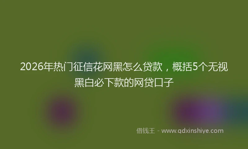 2026年热门征信花网黑怎么贷款，概括5个无视黑白必下款的网贷口子
