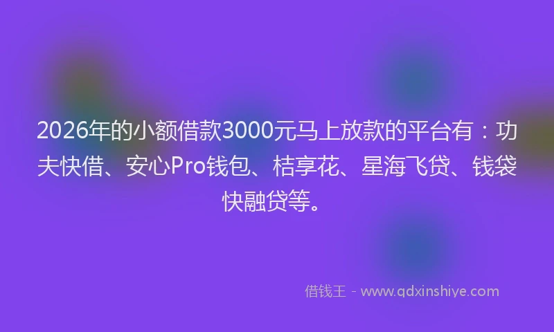 2026年的小额借款3000元马上放款的平台有：功夫快借、安心Pro钱包、桔享花、星海飞贷、钱袋快融贷等。