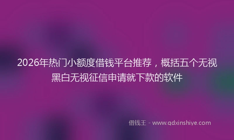 2026年热门小额度借钱平台推荐，概括五个无视黑白无视征信申请就下款的软件