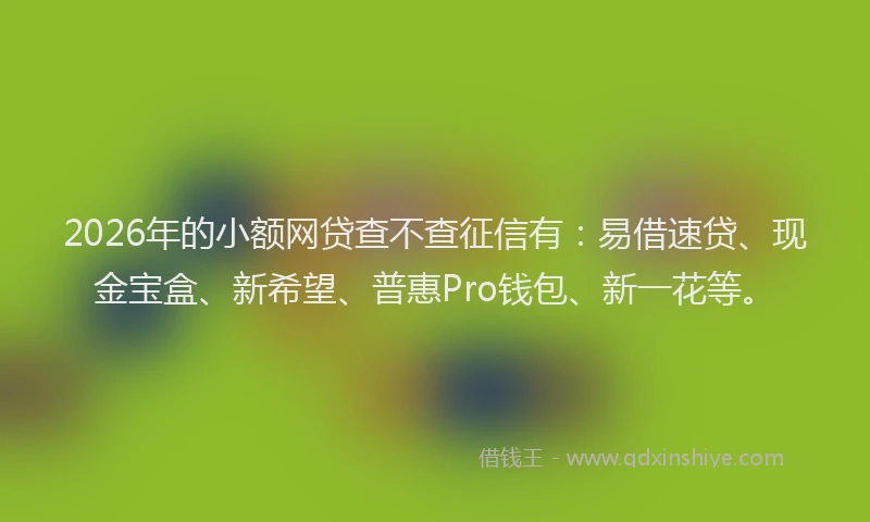 2026年的小额网贷查不查征信有：易借速贷、现金宝盒、新希望、普惠Pro钱包、新一花等。