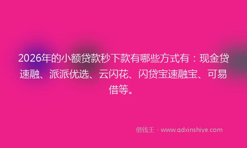2026年的小额贷款秒下款有哪些方式有：现金贷速融、派派优选、云闪花、闪贷宝速融宝、可易借等。