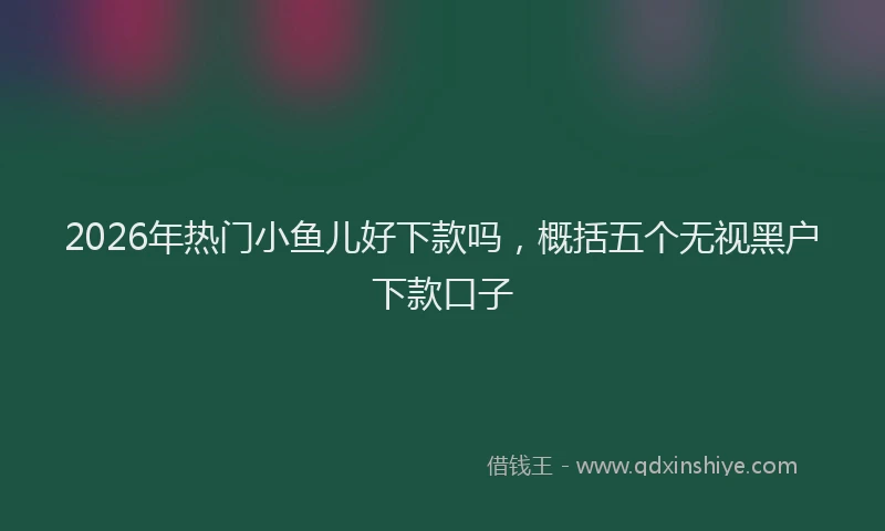 2026年热门小鱼儿好下款吗，概括五个无视黑户下款口子