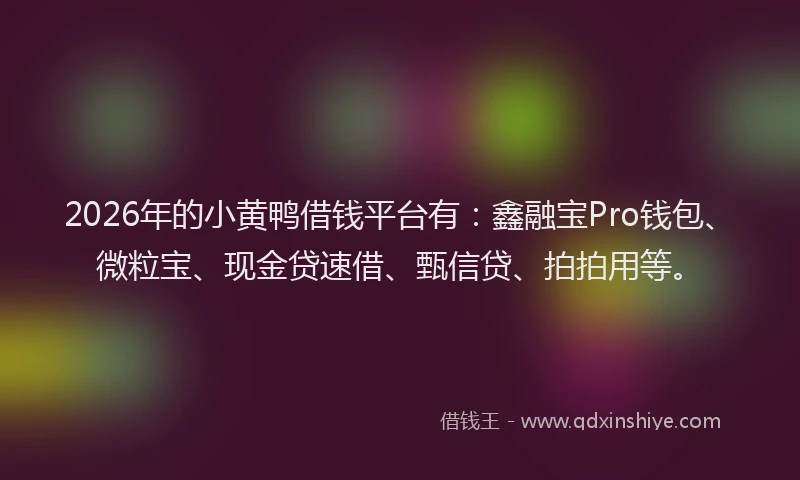 2026年的小黄鸭借钱平台有：鑫融宝Pro钱包、微粒宝、现金贷速借、甄信贷、拍拍用等。