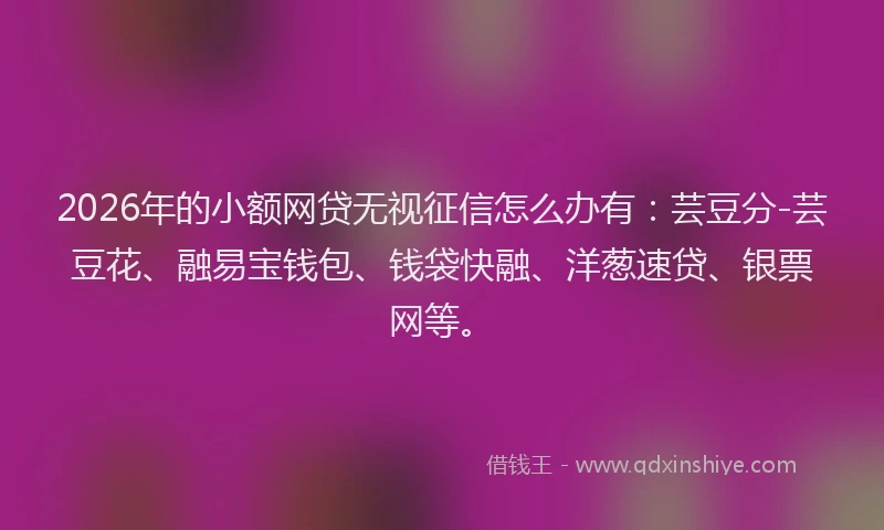 2026年的小额网贷无视征信怎么办有:芸豆分-芸豆花、融易宝钱包、钱袋快融、洋葱速贷、银票网等。