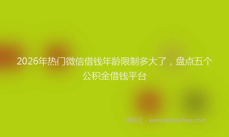 2026年热门微信借钱年龄限制多大了，盘点五个公积金借钱平台