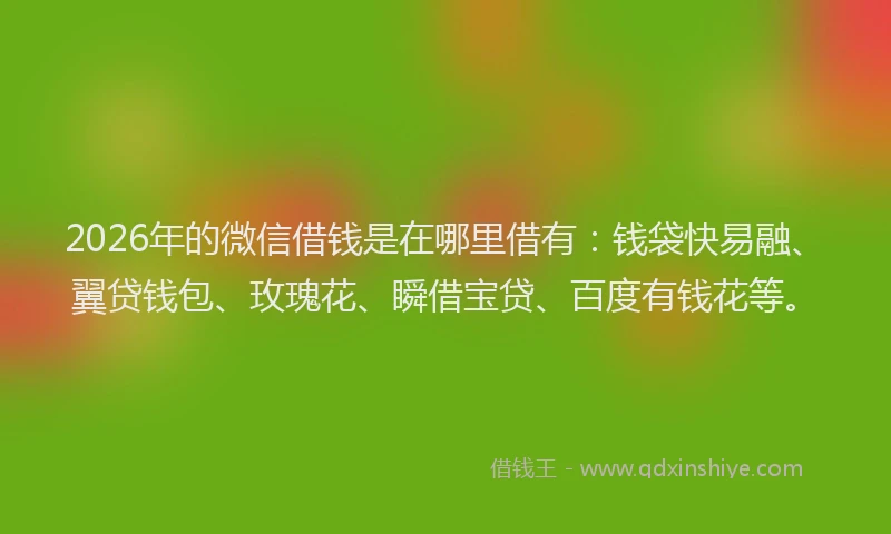 2026年的微信借钱是在哪里借有：钱袋快易融、翼贷钱包、玫瑰花、瞬借宝贷、百度有钱花等。