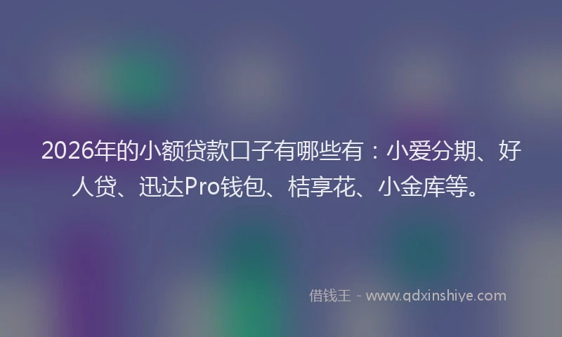 2026年的小额贷款口子有哪些有:小爱分期、好人贷、迅达Pro钱包、桔享花、小金库等。