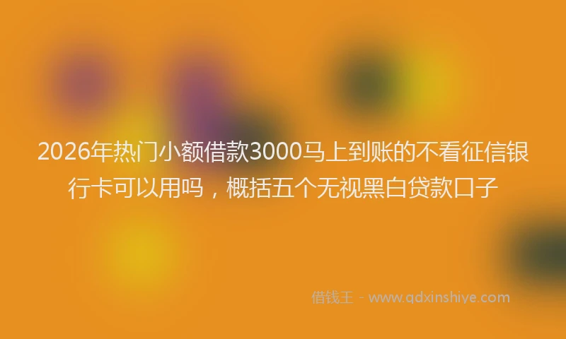 2026年热门小额借款3000马上到账的不看征信银行卡可以用吗，概括五个无视黑白贷款口子