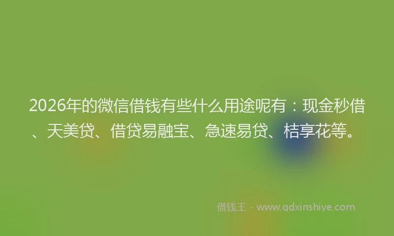 2026年的微信借钱有些什么用途呢有：现金秒借、天美贷、借贷易融宝、急速易贷、桔享花等。