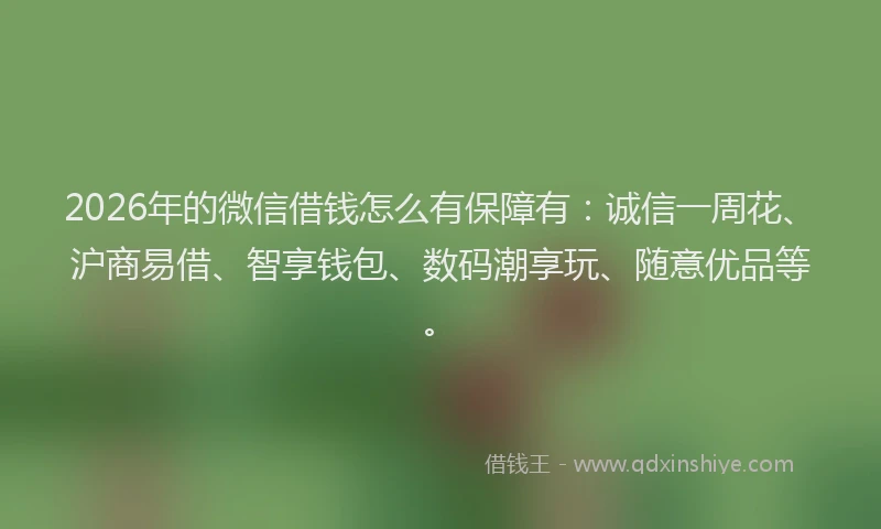 2026年的微信借钱怎么有保障有:诚信一周花、沪商易借、智享钱包、数码潮享玩、随意优品等。