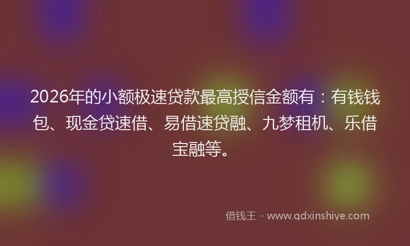 2026年的小额极速贷款最高授信金额有：有钱钱包、现金贷速借、易借速贷融、九梦租机、乐借宝融等。
