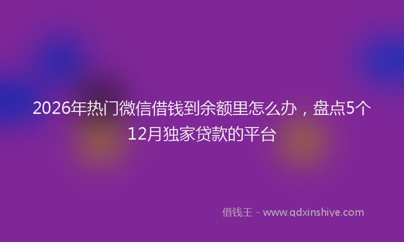 2026年热门微信借钱到余额里怎么办，盘点5个12月独家贷款的平台