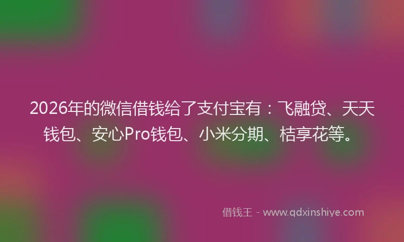 2026年的微信借钱给了支付宝有：飞融贷、天天钱包、安心Pro钱包、小米分期、桔享花等。