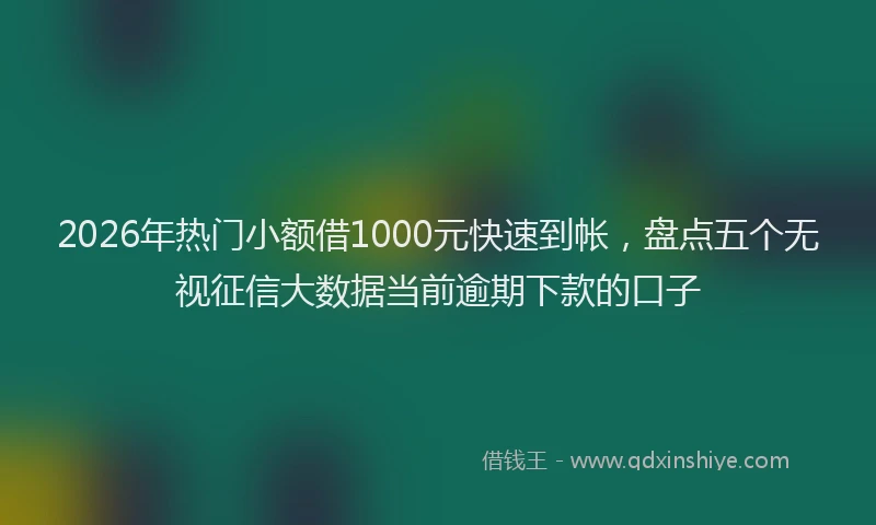 2026年热门小额借1000元快速到帐，盘点五个无视征信大数据当前逾期下款的口子