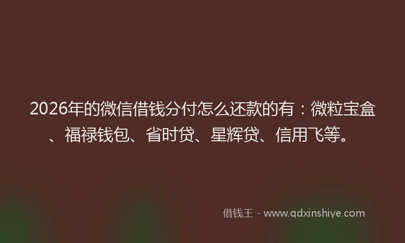 2026年的微信借钱分付怎么还款的有：微粒宝盒、福禄钱包、省时贷、星辉贷、信用飞等。