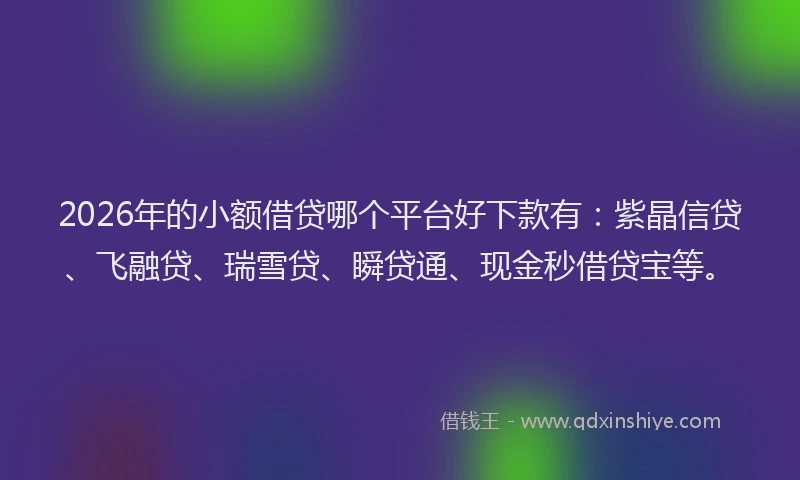 2026年的小额借贷哪个平台好下款有：紫晶信贷、飞融贷、瑞雪贷、瞬贷通、现金秒借贷宝等。