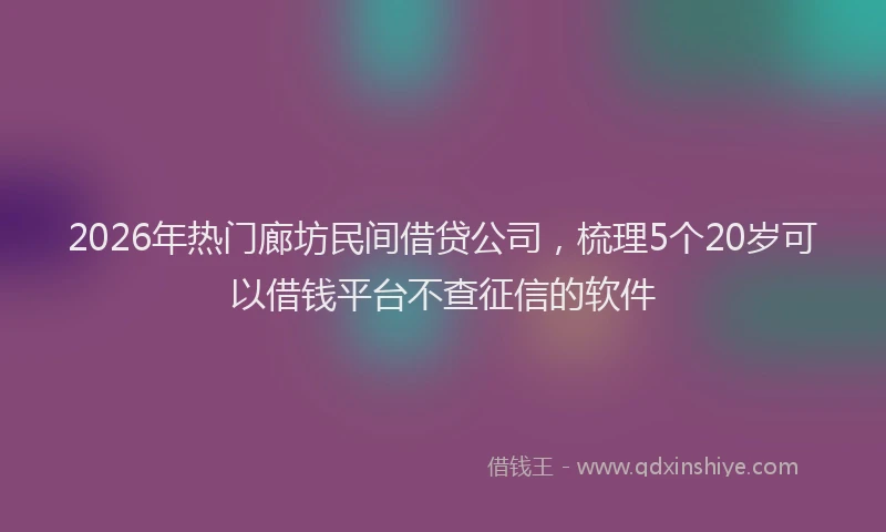 2026年热门廊坊民间借贷公司，梳理5个20岁可以借钱平台不查征信的软件