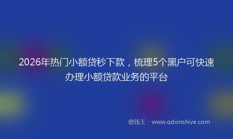 2026年热门小额贷秒下款，梳理5个黑户可快速办理小额贷款业务的平台