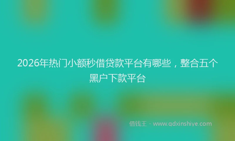 2026年热门小额秒借贷款平台有哪些，整合五个黑户下款平台