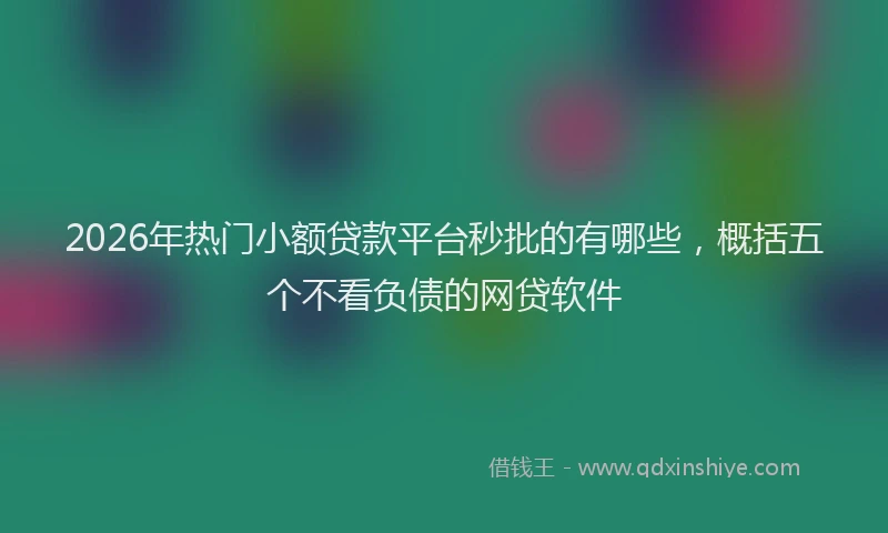 2026年热门小额贷款平台秒批的有哪些，概括五个不看负债的网贷软件
