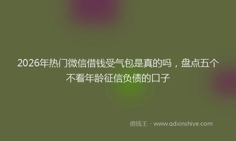 2026年热门微信借钱受气包是真的吗，盘点五个不看年龄征信负债的口子