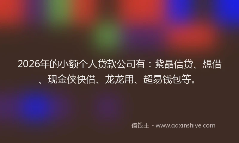 2026年的小额个人贷款公司有：紫晶信贷、想借、现金侠快借、龙龙用、超易钱包等。