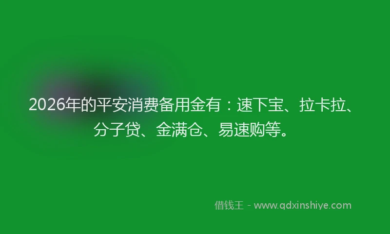 2026年的平安消费备用金有：速下宝、拉卡拉、分子贷、金满仓、易速购等。