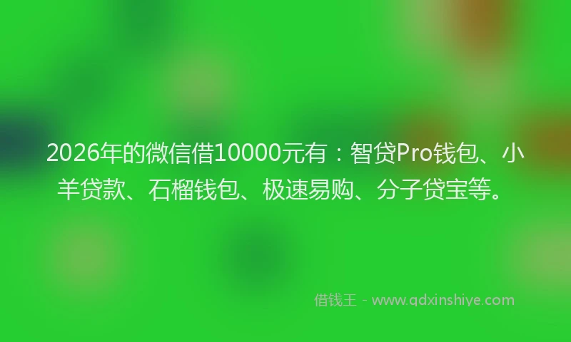 2026年的微信借10000元有：智贷Pro钱包、小羊贷款、石榴钱包、极速易购、分子贷宝等。