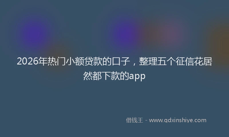 2026年热门小额贷款的口子，整理五个征信花居然都下款的app