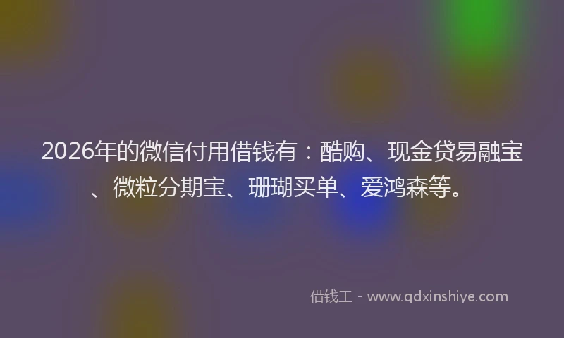 2026年的微信付用借钱有：酷购、现金贷易融宝、微粒分期宝、珊瑚买单、爱鸿森等。