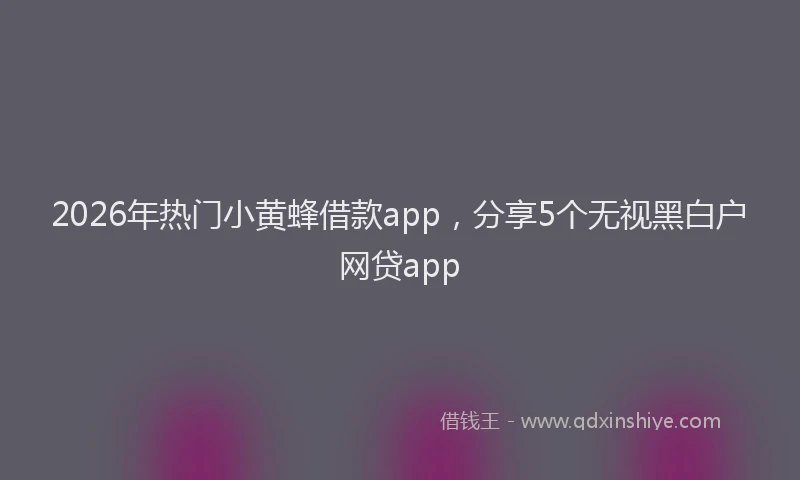 2026年热门小黄蜂借款app,分享5个无视黑白户网贷app