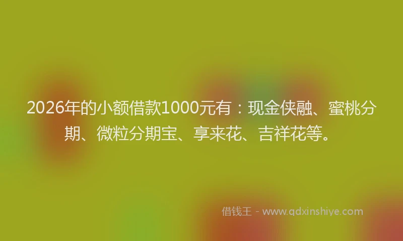 2026年的小额借款1000元有：现金侠融、蜜桃分期、微粒分期宝、享来花、吉祥花等。