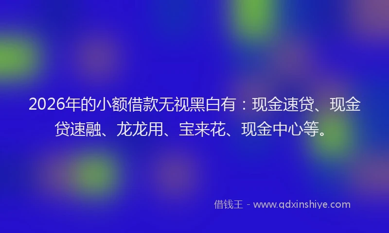2026年的小额借款无视黑白有：现金速贷、现金贷速融、龙龙用、宝来花、现金中心等。