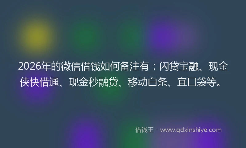 2026年的微信借钱如何备注有：闪贷宝融、现金侠快借通、现金秒融贷、移动白条、宜口袋等。